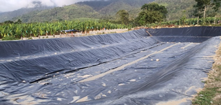 Geomembrane